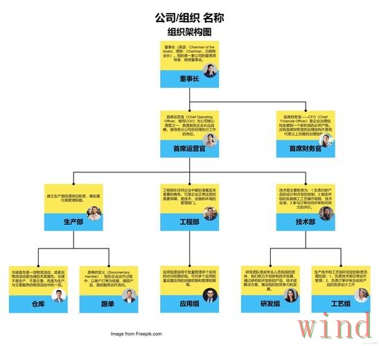 M6科技控股企业信息全解析
